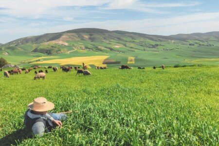 Activités Originales de Team Building en Tunisie