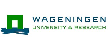 university