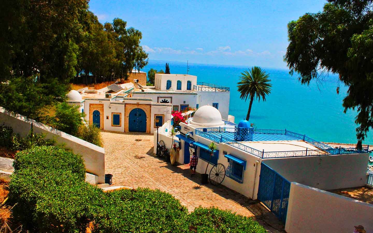 Organisation Séminaire d’Entreprise à Sidi Bou Saïd