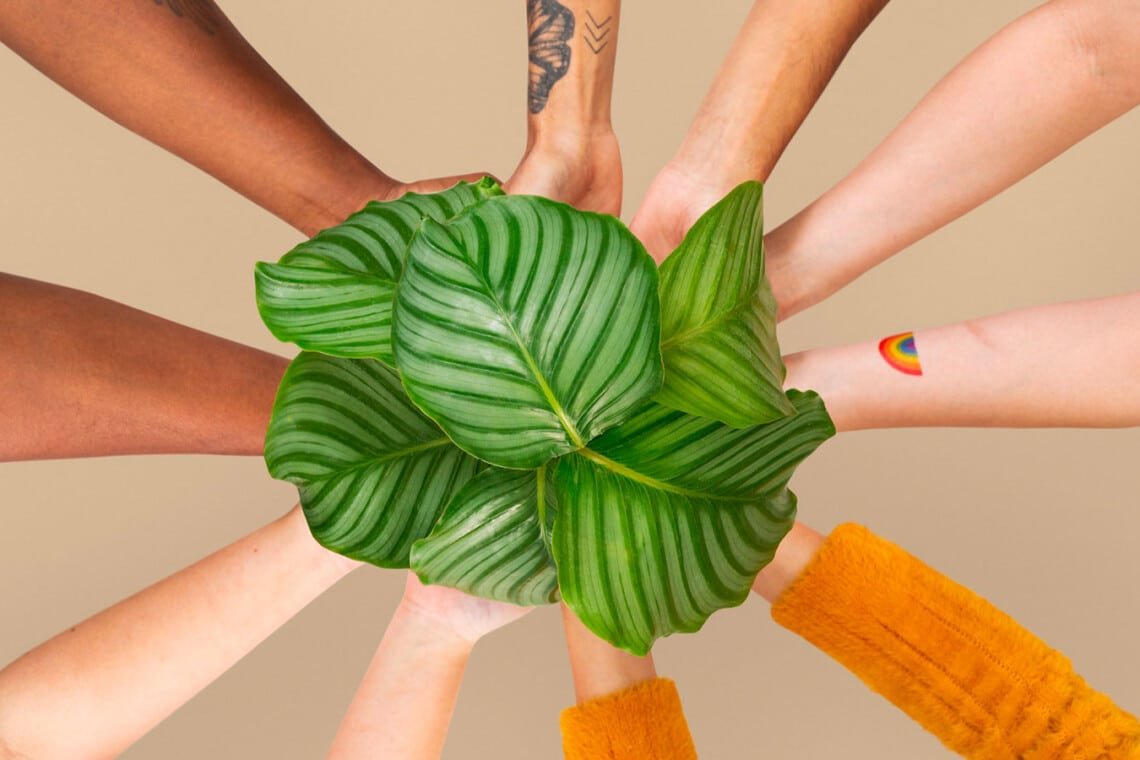 Séminaire d’entreprise à impact