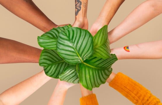 Séminaire d’entreprise à impact