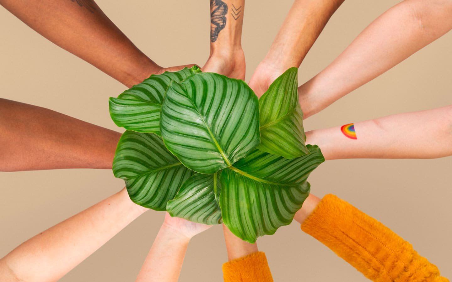 Séminaire d’entreprise à impact